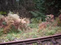 IMG_0079.JPG
