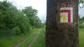IMGP7787.JPG