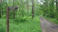 IMGP7836.JPG