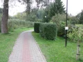 IMG_6006.JPG