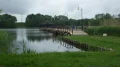 IMGP7855.JPG