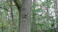 IMG_6023.JPG
