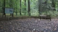 IMG_6042.JPG