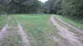 IMG_6051.JPG