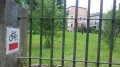 IMGP8521.JPG