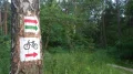 IMGP8526.JPG