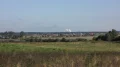 IMG_6329.JPG