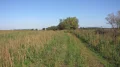 IMG_6338.JPG