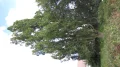 IMG_6346.JPG