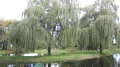 IMG_6348.JPG