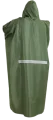 1000318B.png