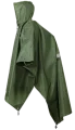 1000318D.png