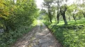 IMG_9075.JPG