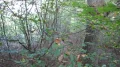 IMG_9077.JPG