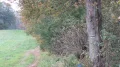 IMG_9078.JPG