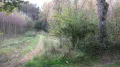IMG_9133.JPG