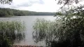 IMG_9136.JPG