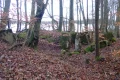 P1144734.JPG