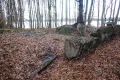 P1144735.JPG