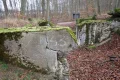 P1144746.JPG