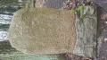 IMGP3666.JPG