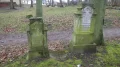 IMGP3672.JPG
