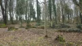 IMGP3662.JPG