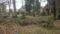 IMGP3679.JPG