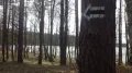 IMGP3811.JPG