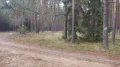 FOTO3293.JPG