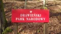 IMGP3175.JPG