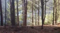IMGP3190.JPG