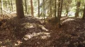 IMGP3197.JPG
