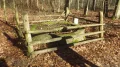 IMGP3212.JPG