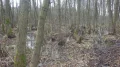 IMGP3539.JPG