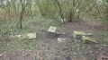 IMGP3568.JPG