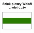 P-Z-ZGY-109-M.jpg