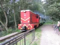IMG_5130.JPG