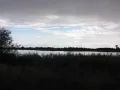 IMG_5516.JPG