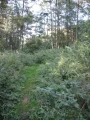 Skalno - Pogorzelica2.JPG