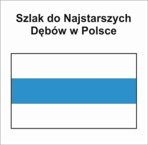 P-N-ZKL/ZK-111, Szlak pieszy niebieski Do Najstarszych Dębów w Polsce, pętla Ustronie Morskie, 28km
