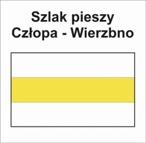 P-Y-ZP/WK/LB-094, szlak pieszy żółty Człopa - Wierzbno, 137,6km