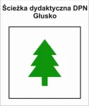 P-Z-FSD-098, dydaktyczny DPN, Głusko - Pole Biwakowe Kamienna, 3,4km