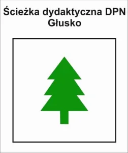 P-Z-FSD-098, dydaktyczny DPN, Głusko - Pole Biwakowe Kamienna, 3,4km