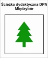 P-Z-ZCH-099-M.jpg