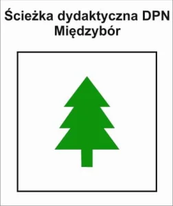 P-Z-ZCH-099, dydaktyczny DPN, Zatom - Leśn. Międzybór, 4km