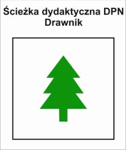 P-Z-ZCH-101, dydaktyczny DPN Drawnik, pętla Drawnik - Drawnik, 4km