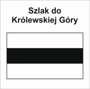 P-S-PMI-140, szlak pieszy czarny Do Królewskiej Góry, Gorzyń - Gorzyń, 15,5km
