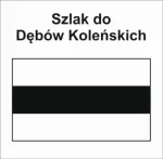 P-S-PMI-142, szlak pieszy czarny Do Dębów Koleńskich, Kolno MIędzychodzkie - Leśn. Kukułka, 28,4km