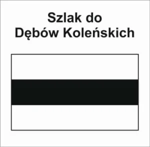 P-S-PMI-142, szlak pieszy czarny Do Dębów Koleńskich, Kolno MIędzychodzkie - Leśn. Kukułka, 28,4km